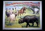 Forepaugh & Sells paper.jpg
