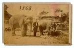Harry Cooly 1868.jpg