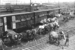 Miller Bros. 101 Wild West early 1900's.jpg