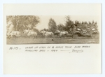Ringling Bandwagon & 8 horse hitch 1884.jpg