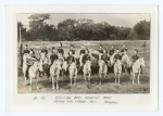 Ringling Mounted Band 1897.jpg