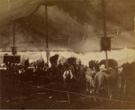 Under the big top Cooper & Baily 1876.jpg