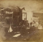 inside the menagerie of the Cooper & Baily Circus 1876.jpg