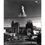 In 1953, the celebrated high wire artist Josephine Berosini performed a high bicycle ride across Vine St. in Hollwood..jpg