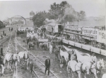  Sells Floto Circus 1918