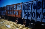 Foley and Burke wagon line up 1950's.jpg