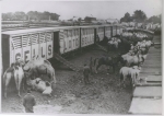Sells Floto 1918 in Horton KS..jpg