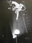 The Great Unus ( Ringling 1950).jpg