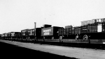 Dodson's World Fair Shows....early 1900's.jpg