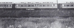 Rubin & Cherry waits for a passing train...1930's.jpg