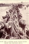 40 horse hitch form the drivers seat.1904.