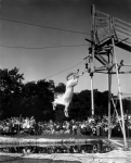 Diving Horse.jpg