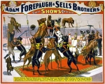 Forepaugh & Sells Bros. dog act paper...early 1900's.jpg
