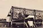 1930's Reptile Show
