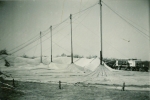 Capell-Bros-sawbucking-poles.jpg