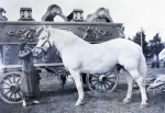 Gollmar Bros.......1915.jpg