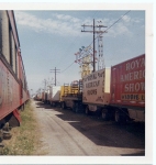 Ras on the old tampa St. Fair grounds ...1960's.jpg