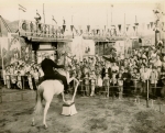 Siebrand Bros-(Capt.H.Clark on the horse)....1954.jpg