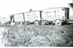 Al, G.Barnes wagons on a mud lot....1930's.JPG