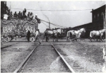 Cole Bros. 6 horse band wagon....1939.jpg
