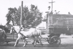 101 Wild West Four Hitch Team Heading For The Lot