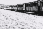 1930's Animal Stock Cars.On The Ringling Brothers Circus Train