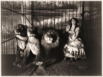 Adgie & The Lions..1899.JPG