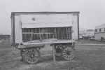 Cat wagon on the Cetlin Wilson Shows...1952.JPG