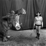 Hippo & girl.jpg