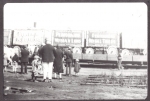 Christy Brothers Circus from 1920