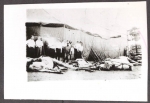 Lightning struck horses. Christy Bros. ...1926.JPG