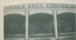 Lions & Tigers on the Cole Bros. 1940's.JPG