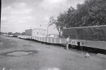 Olson Shows flats...1950's.JPG