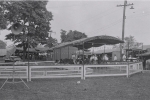 Pony Ride on the Cetlin Wilson Midway...1952.JPG