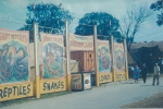 Reptile Show..1950's.JPG