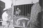 Ringling Bros. hippo wagon...1952.JPG