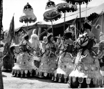 Ringling opening..1946.JPG