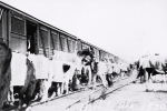 Ringling train..1930's.JPG