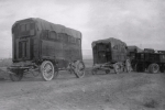 Ringling wagons being taken to the lot...1930's.JPG