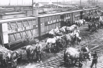 Unloading the stock on the 101 Ranch Wild West.JPG