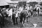 line up for 'spec'...1930's.JPG