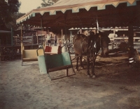 Your basic carnival ride..jpg
