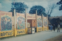 World Of Mirth reptile show.jpg