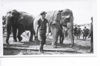 Working the 'bulls' on the Sells Floto Circus...1915.JPG