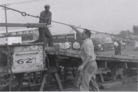 w o m 1950's.jpg