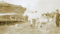 Washington statue horse on the Sells-Floto..1920.JPG