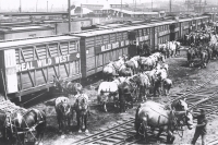 Unloading the stock on the 101 Ranch Wild West.JPG