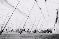 Under 'Big Bertha'..Ringling...1930's.JPG