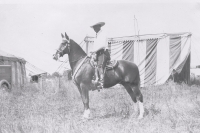Tom Mix on horseback...1930's.JPG