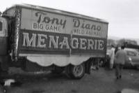 Tony Diano menageri on the Christiani Bros. Circus...1956.JPG